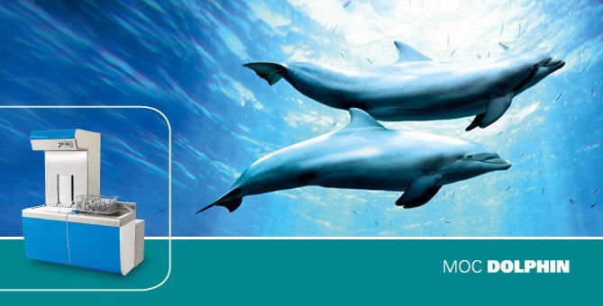 MOC DOLPHIN
