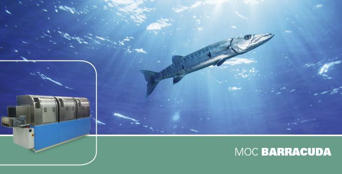 MOC Barracuda