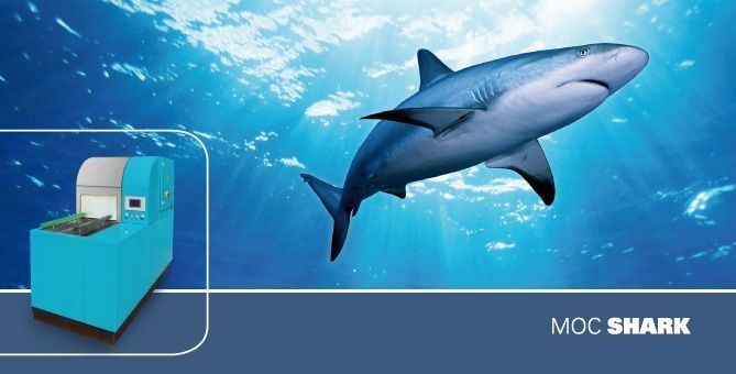MOC SHARK